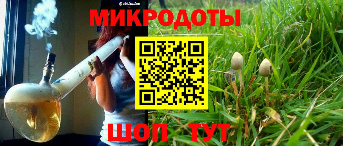 Псилоцибиновые грибы MAGIC MUSHROOMS Алатырь