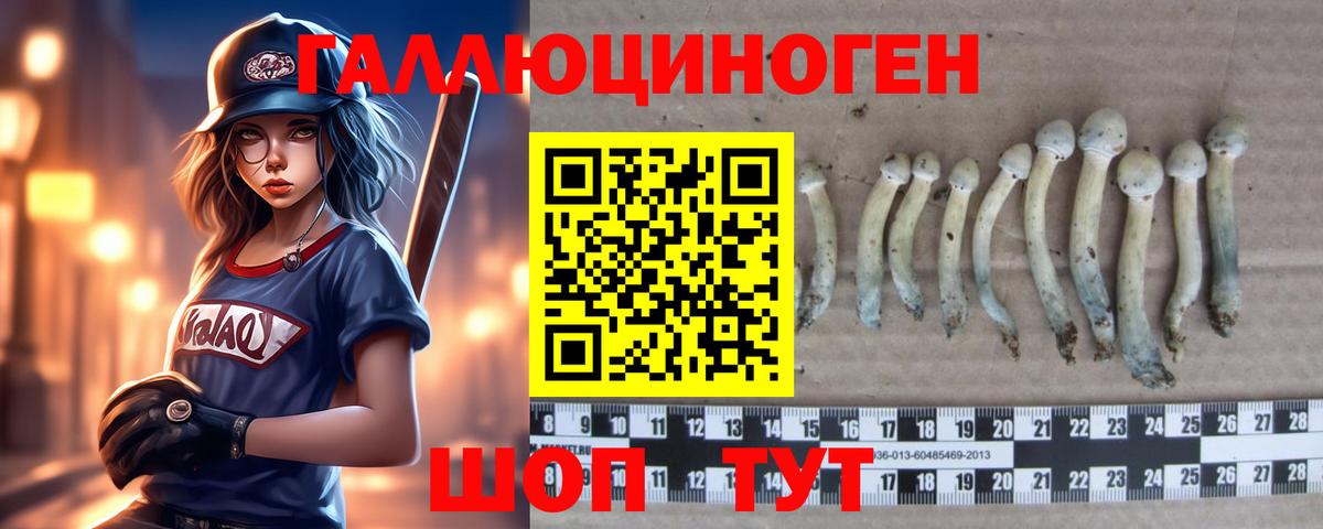 Алатырь  Галлюциногенные грибы GOLDEN TEACHER  Вход с VPN 